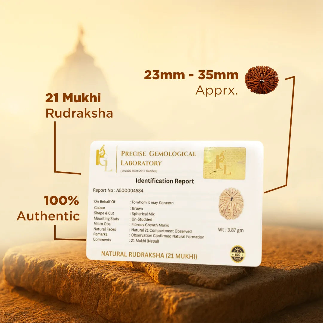 Certified 21 Mukhi Rudraksha for wealth and prosperity