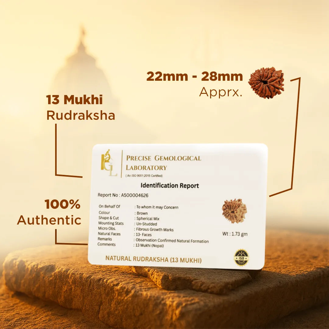 Rudraksha bead with identification report card on a wooden surface