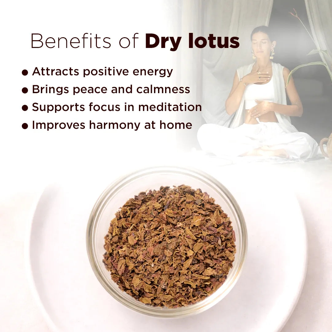 Dry lotus benefits listed with a bowl of lotus seeds and a blurred figure in the background.Dry Lotus Flower – Auspicious Symbol for Prosperity, Purity & Spiritual Growth