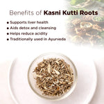 Glass bowl with kasni kutti roots and benefits listed on a white background