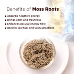 Moss roots in a glass container with benefits listed on a white background