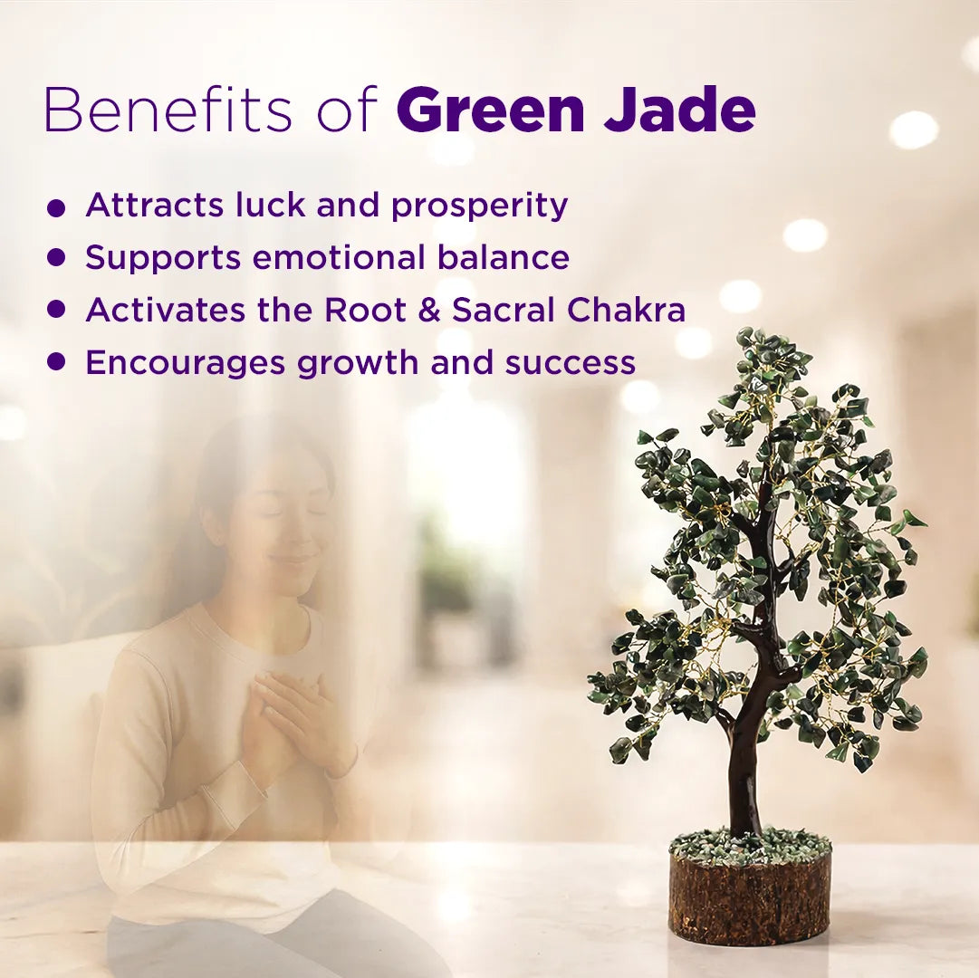 Green jade plant with benefits listed on a blurred backgroundGreen Jade Tree : Promotes Wealth Attraction & Money Growth