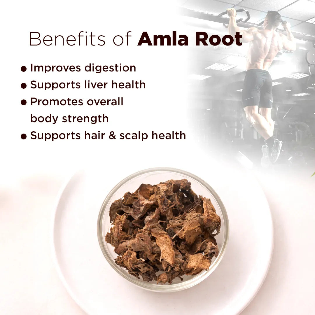 Amla root in a bowl with text listing benefits on a white backgroundAmla Root – Vitality, Healing & Positive Energy Support