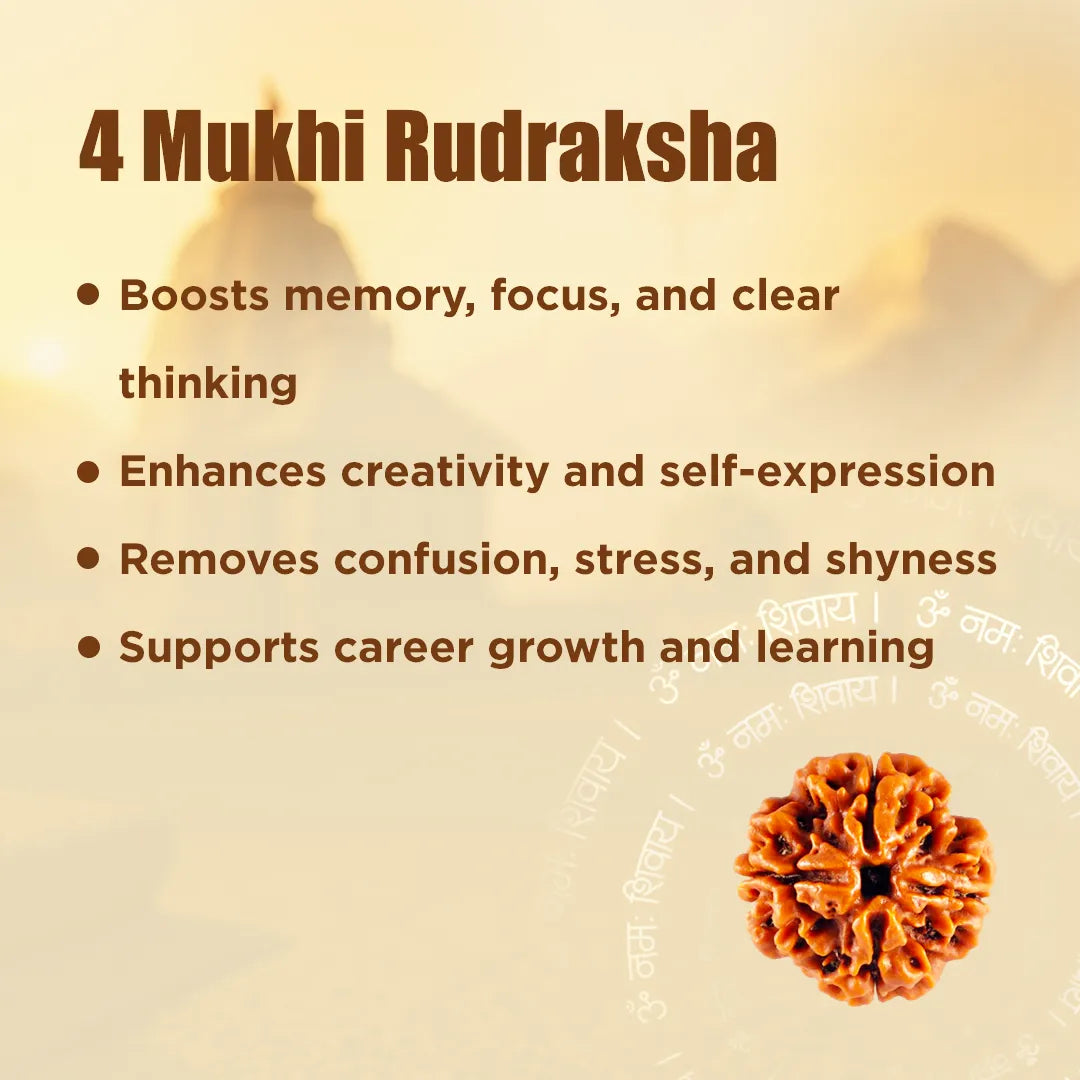 Nepali 4 Mukhi Rudraksha (Four Faced)