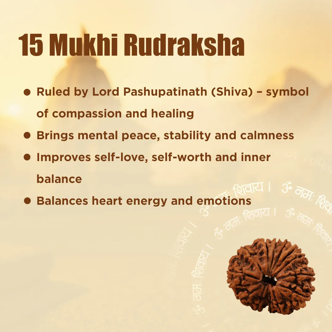 15 Mukhi Rudraksha with its benefits on a beige background