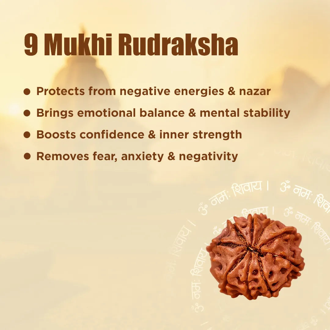 9 Mukhi Rudraksha with benefits listed on a beige background