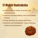 17 Mukhi Rudraksha with its benefits on a beige background