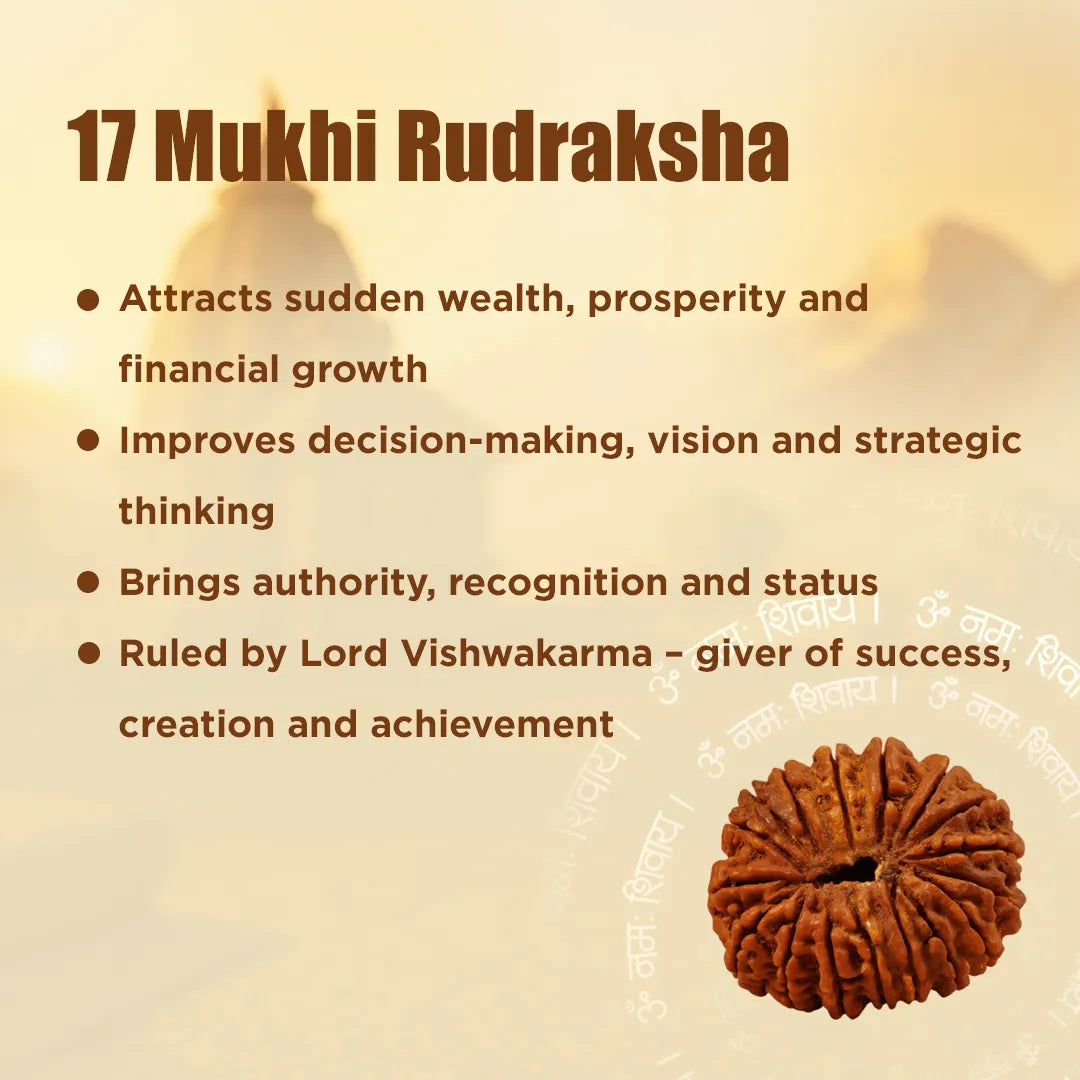 17 Mukhi Rudraksha with its benefits on a beige backgroundNepali 17 Mukhi Rudraksha (Seventeen-Faced)