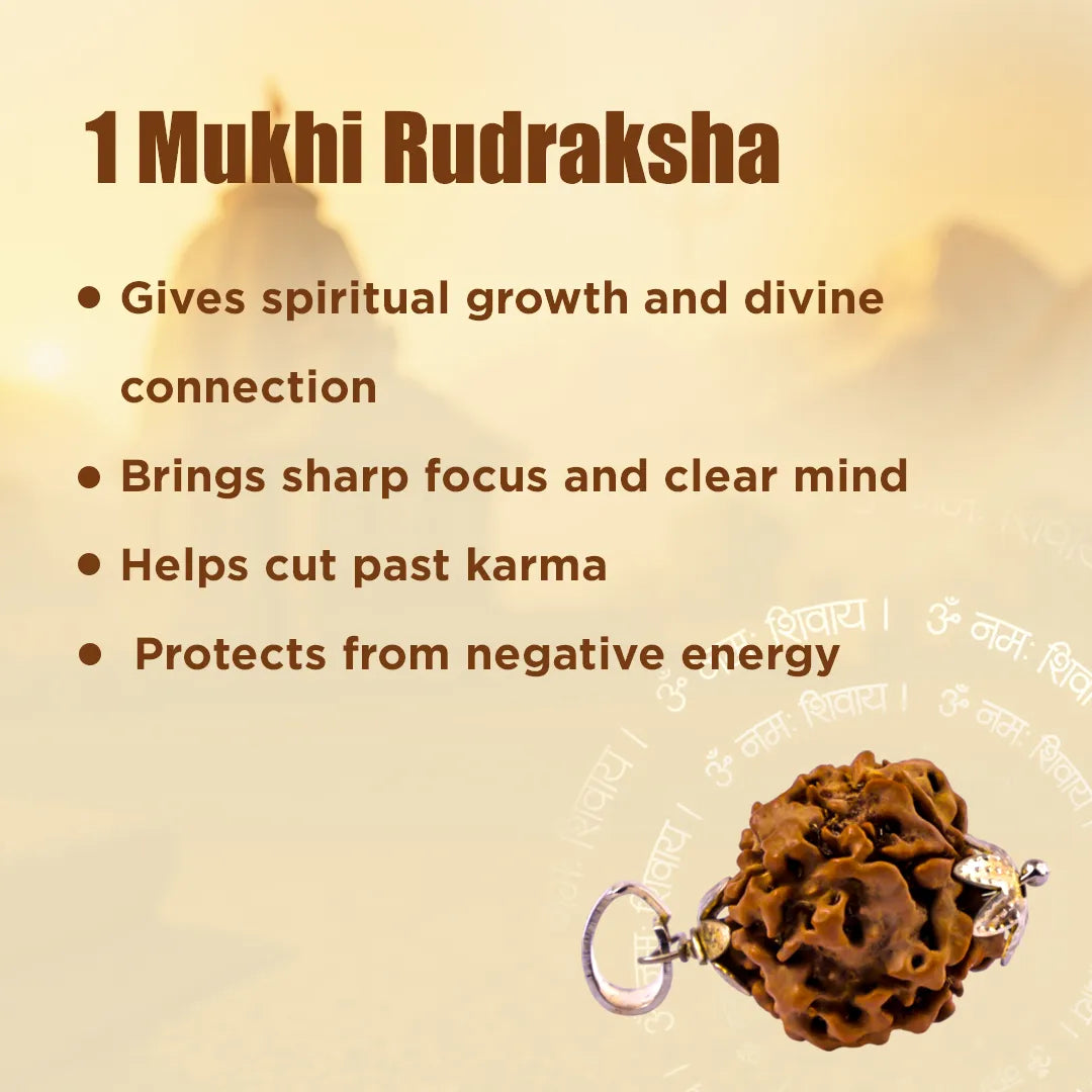 Nepali 1 Mukhi Rudraksha (One Faced) for Spiritual Awakening & Inner Peace