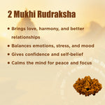 Nepali 2 Mukhi Rudraksha (Two Faced)