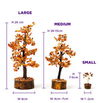 Three sizes of decorative trees with measurements on a white background