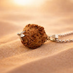 Nepali 1 Mukhi Rudraksha (One Faced)