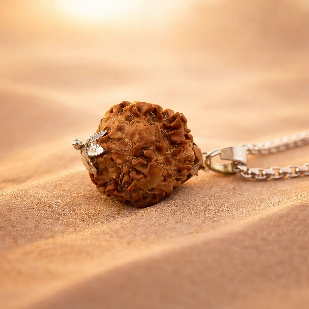 Nepali 1 Mukhi Rudraksha (One Faced)Nepali 1 Mukhi Rudraksha (One Faced)