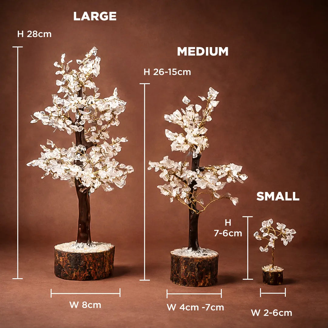 Three sizes of decorative trees with measurements on a brown background