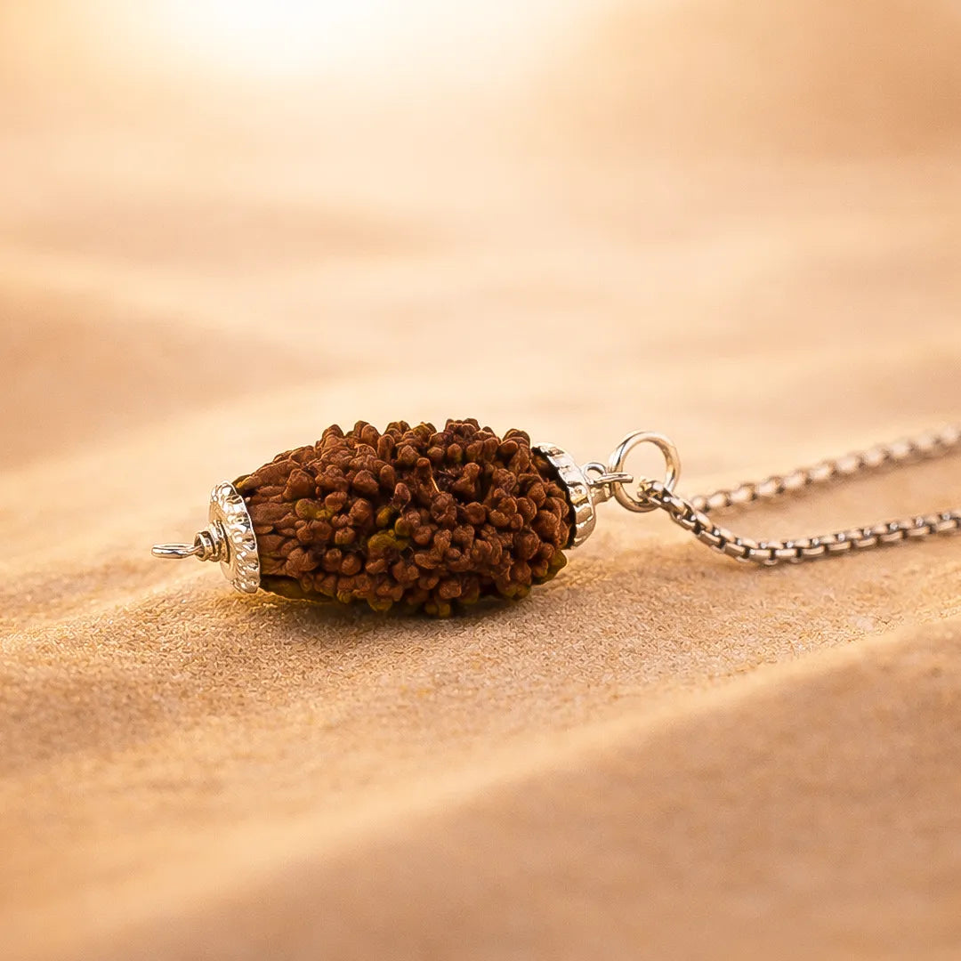 Nepali 2 Mukhi Rudraksha (Two Faced)Nepali 2 Mukhi Rudraksha (Two Faced)