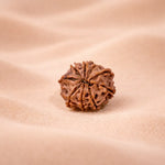 Brown textured object on a beige fabric background