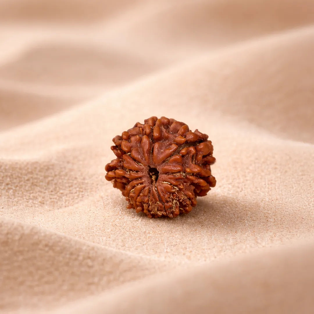 Brown rudraksha bead on a beige fabric background