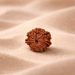 Brown rudraksha bead on a beige fabric background