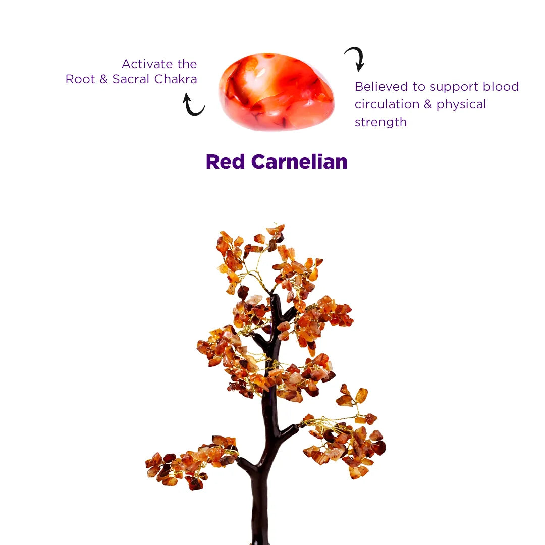 Red carnelian stone and tree with text on a white backgroundRed Carnelian Crystal Tree – Motivation, Confidence & Career Growth
