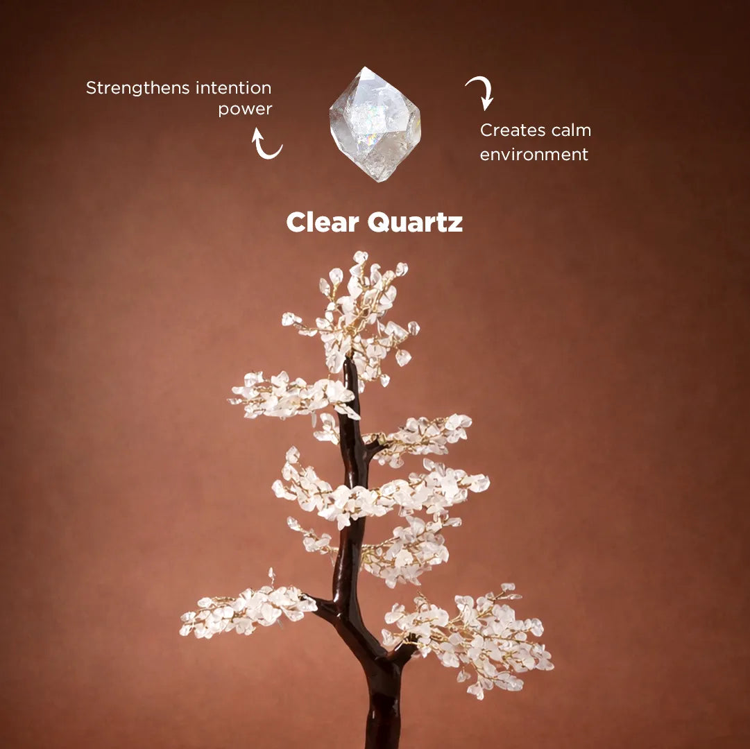 Clear Quartz crystal on a branch with descriptive text on a brown background