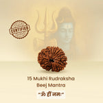 15 Mukhi Rudraksha with certification stamp and trishul on a beige background