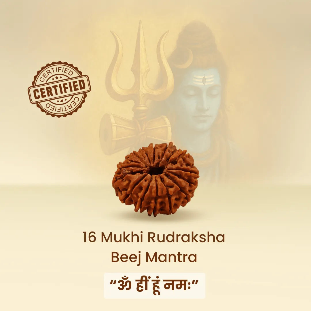 16 Mukhi Rudraksha with certification logo and text on a beige background