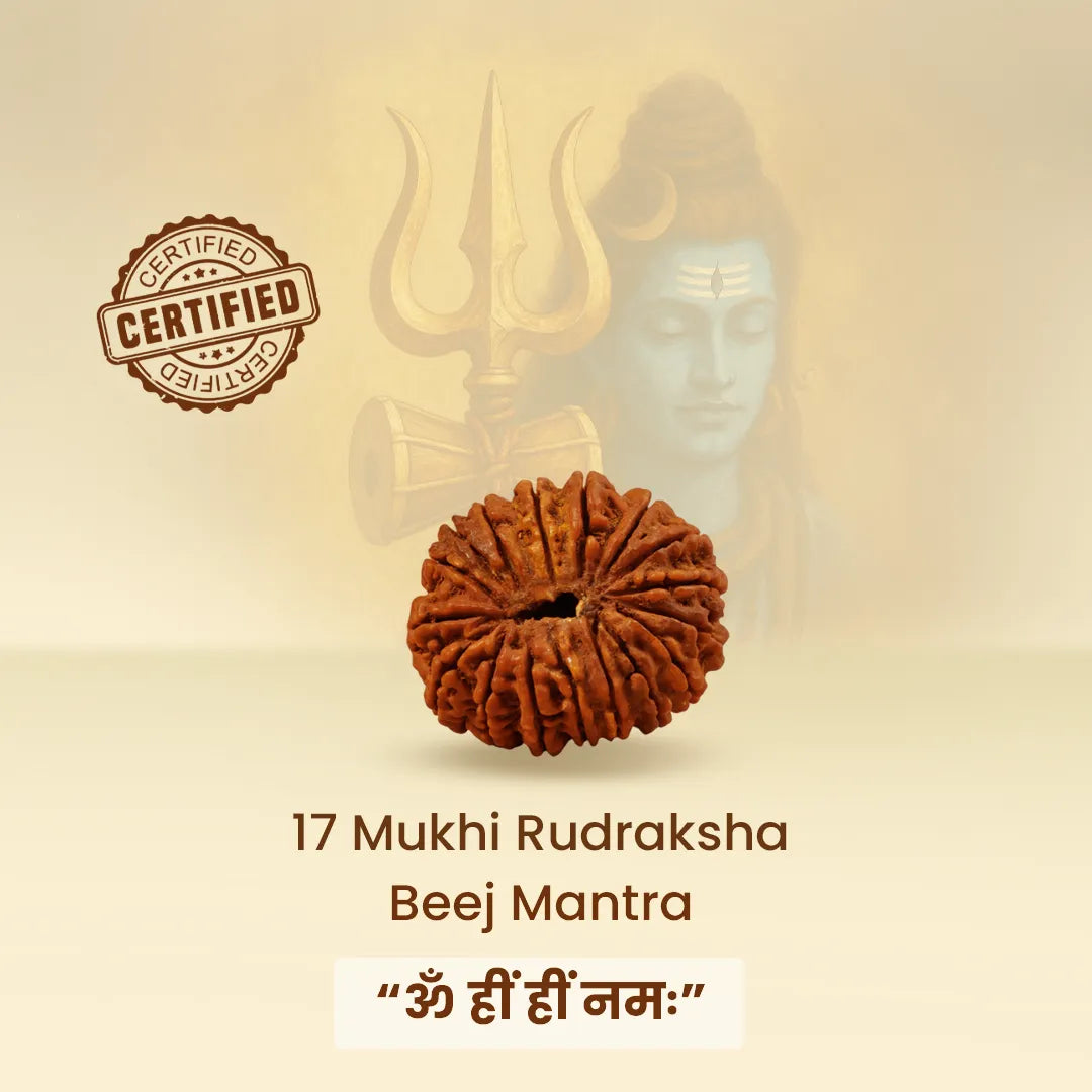 17 Mukhi Rudraksha Beej Mantra with certification logo on a beige background