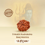 Nine-faced Rudraksha Bead with certification logo and text on a beige background