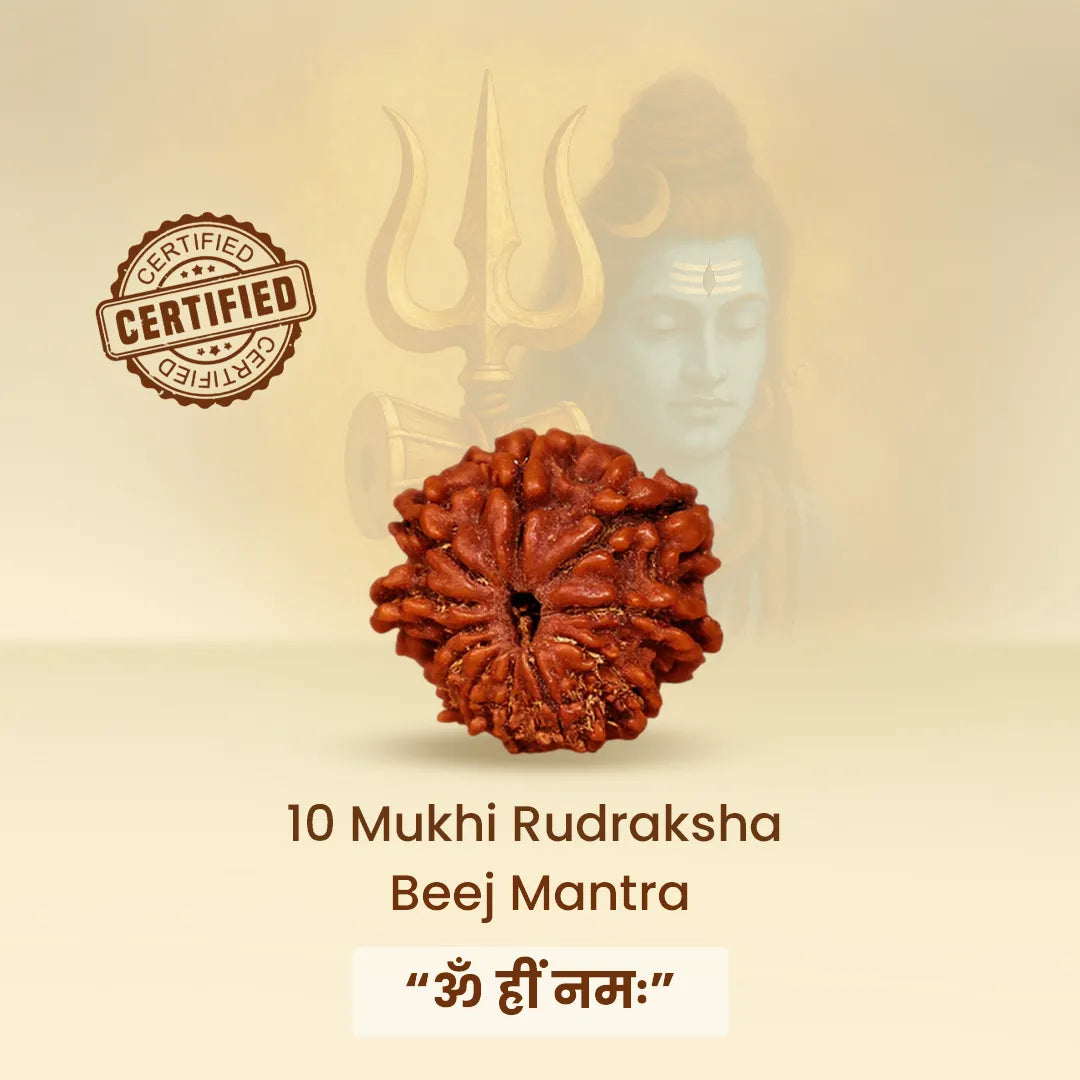 10 Mukhi Rudraksha Beej Mantra with certification badge on a beige background