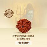 10 Mukhi Rudraksha Beej Mantra with certification badge on a beige background