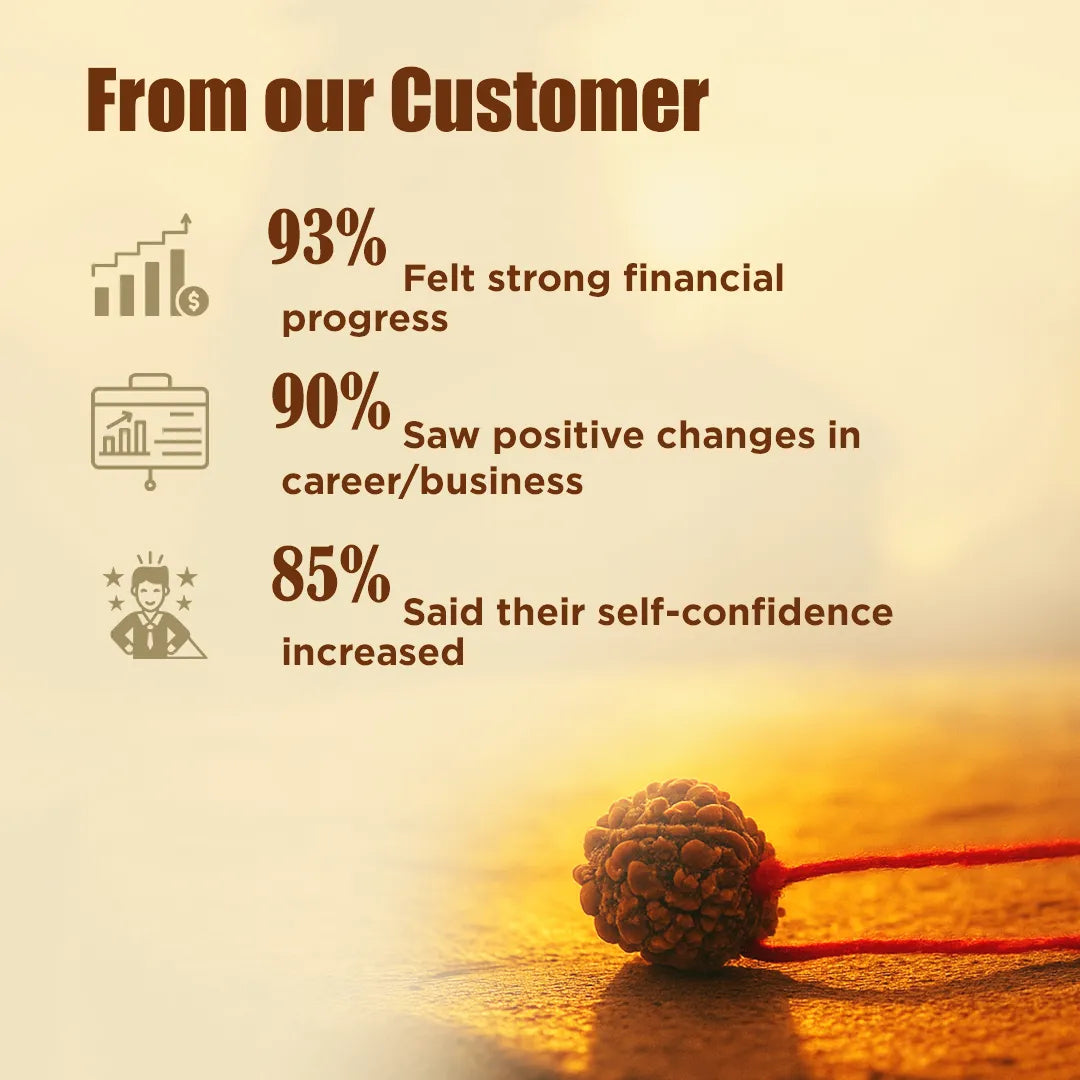 Nepali 12 Mukhi Rudraksha (Twelve Faced)Nepali 12 Mukhi Rudraksha (Twelve Faced)