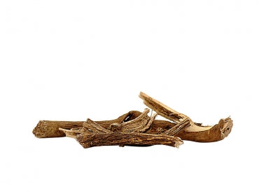 Belmool Roots