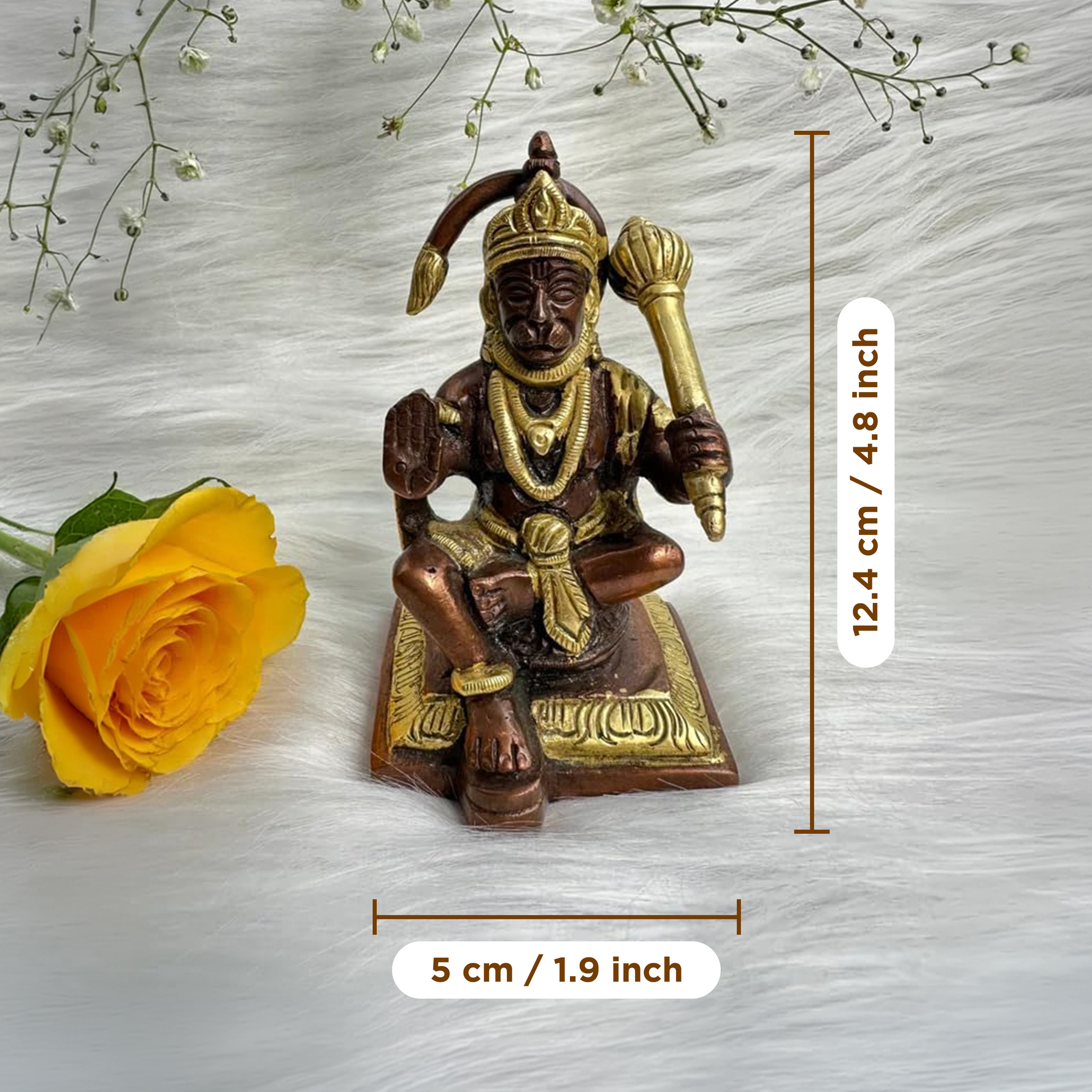 Ram Bhakt Hanuman Brass Idol for Devotion & Protection
