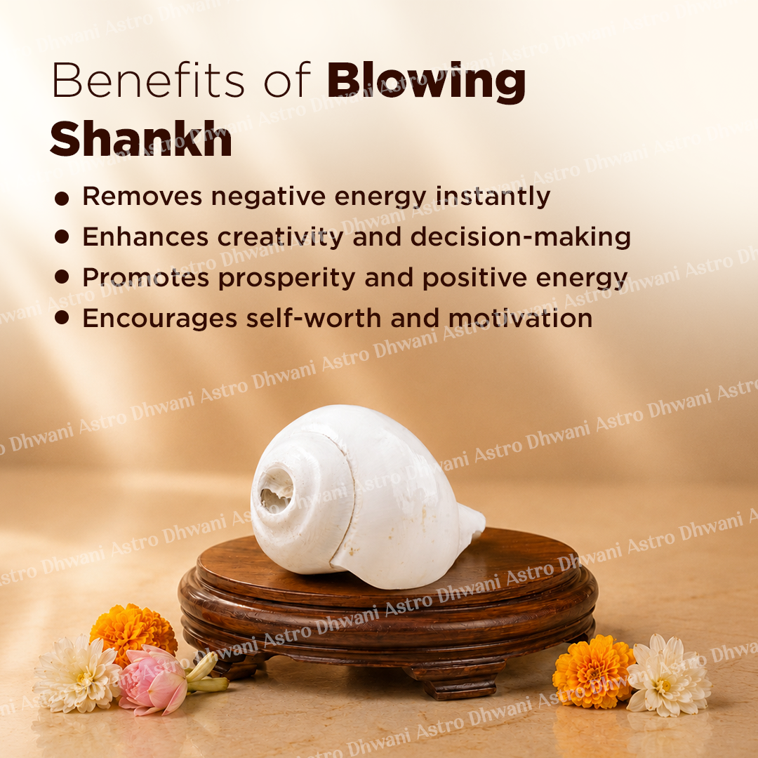 White conch shell on a wooden stand with flowers, text about benefits of blowing shankh.