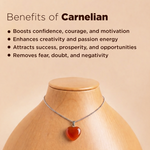 Carnelian necklace on a wooden mannequin with benefits listed on a beige background
