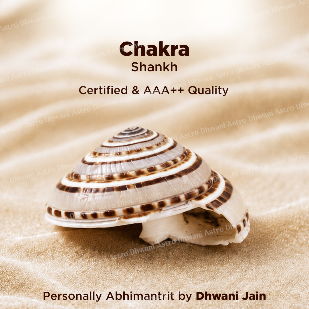 Vishnu Chakra Shankh - Abhimantrit