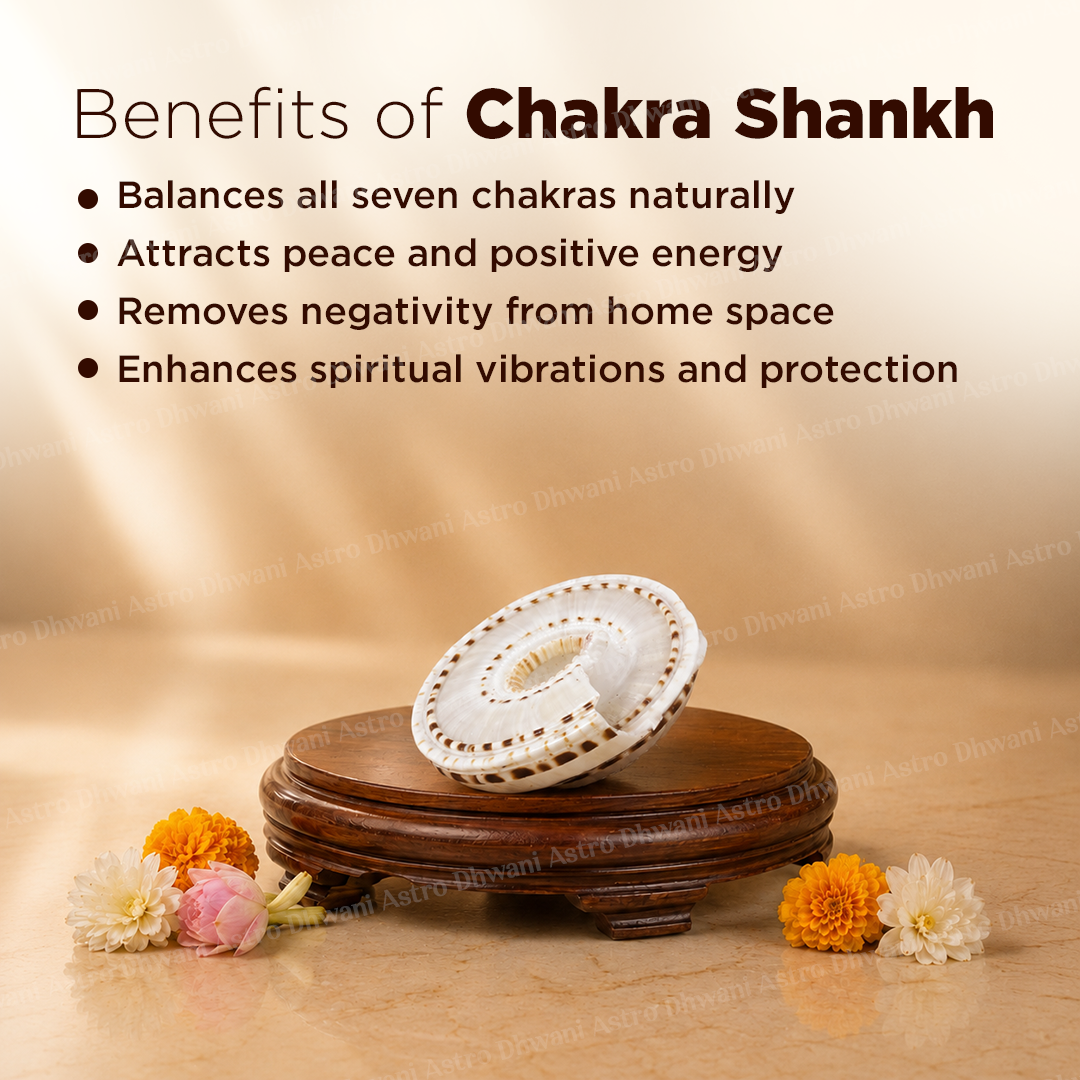 Vishnu Chakra Shankh - Abhimantrit