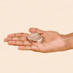 Hand holding a shell against a beige background