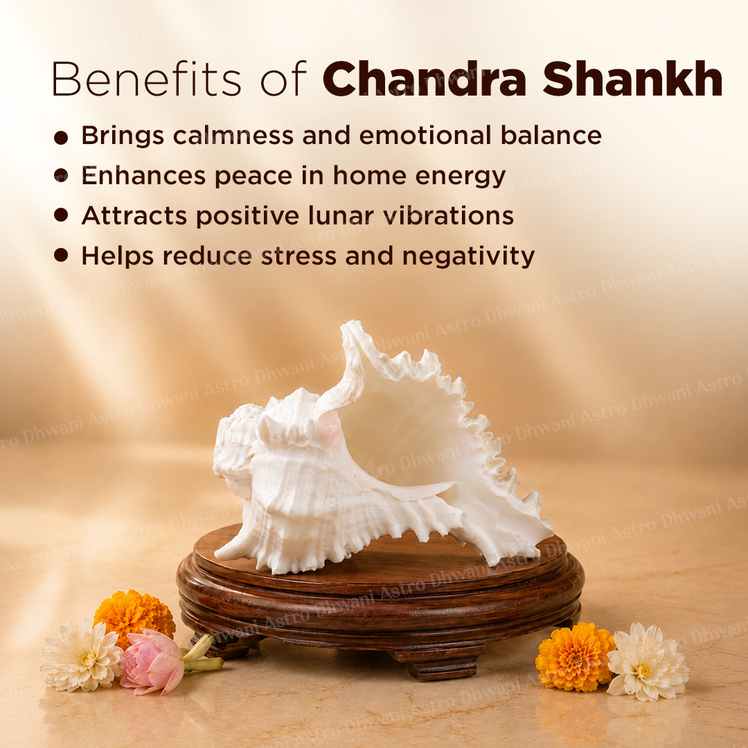Chandra Shankh For Moon Energy Peace Emotional Balance