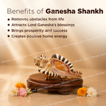 Ganesha Shankh with benefits listed on a beige background