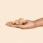 Hand holding a small shell against a beige background