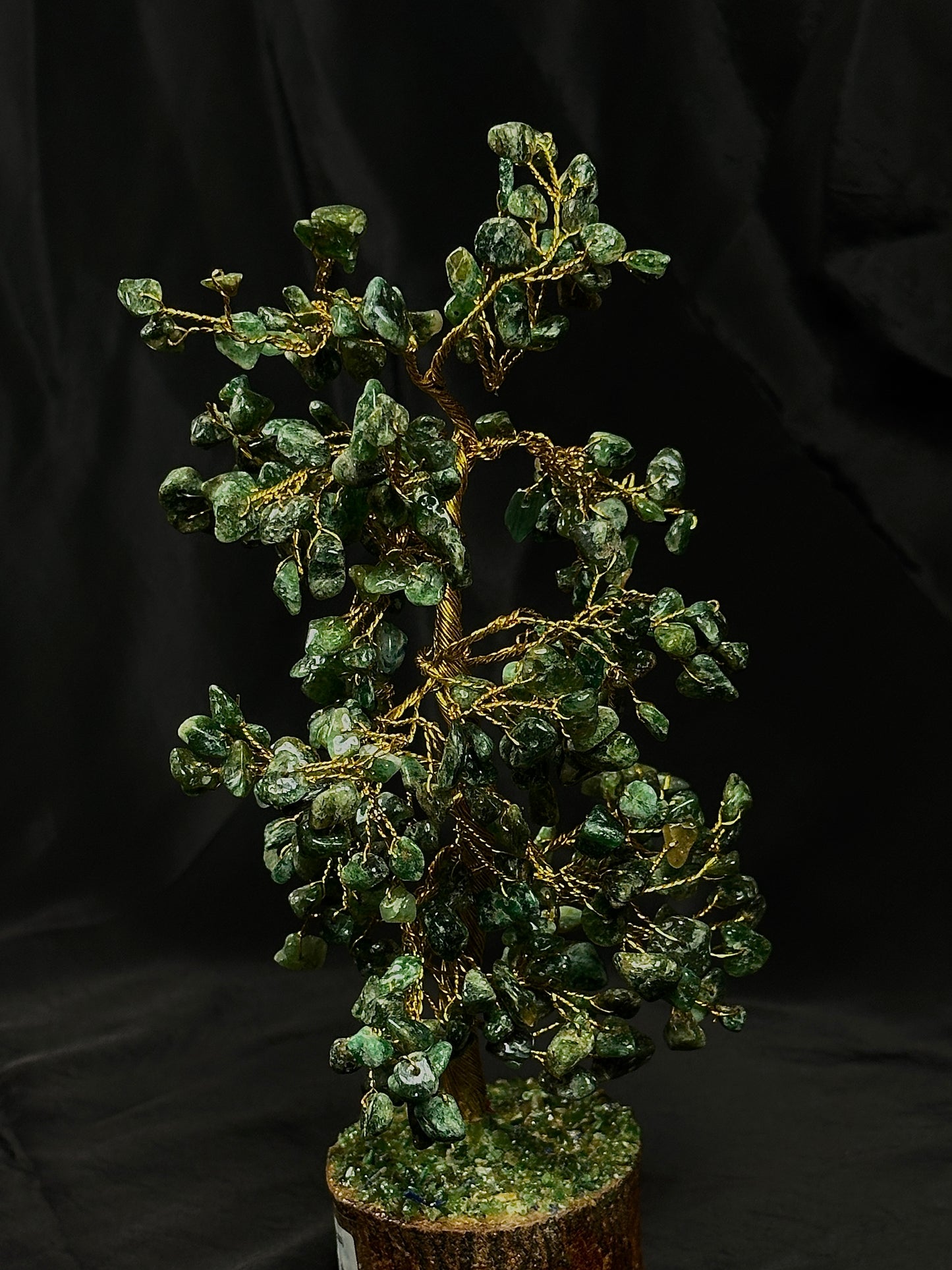 Promotes Wealth Attraction & Money Growth: Green Jade Tree - Abhimantrit