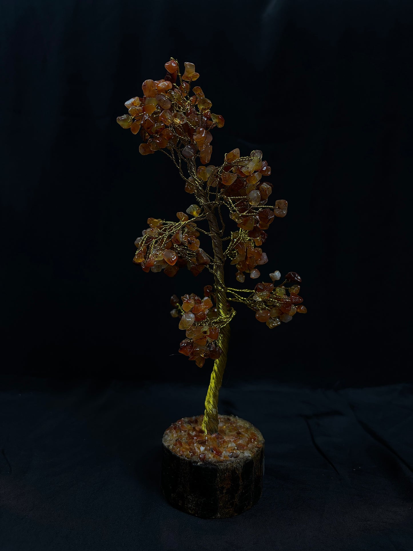 Carnelian Tree - Abhimantrit & Certified