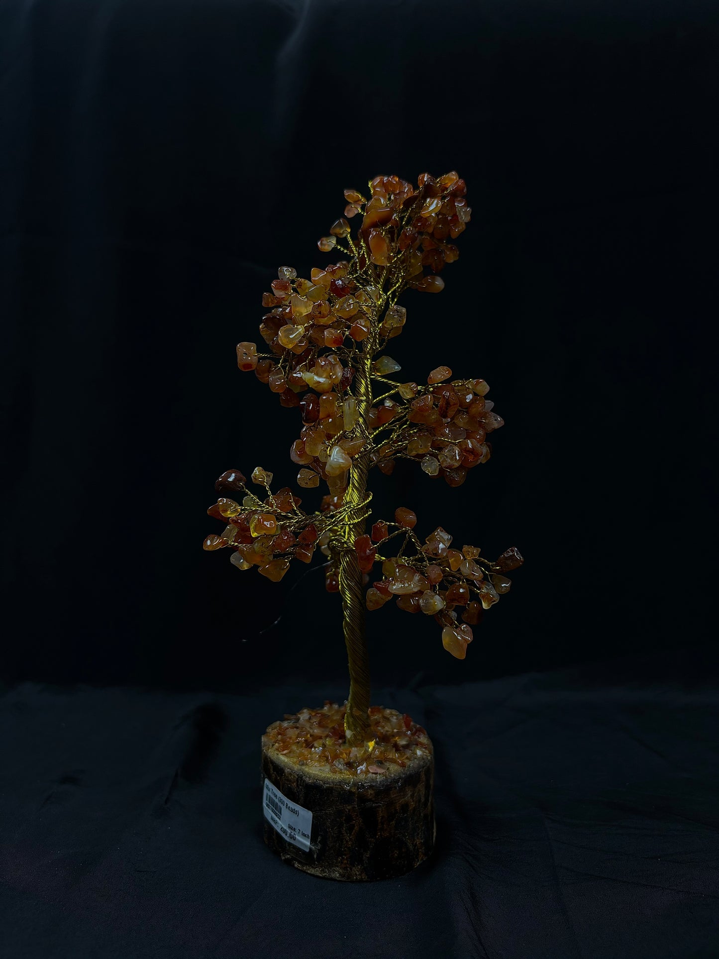 Carnelian Tree - Abhimantrit & Certified