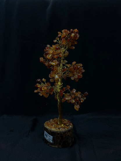 Carnelian Tree - Abhimantrit & Certified