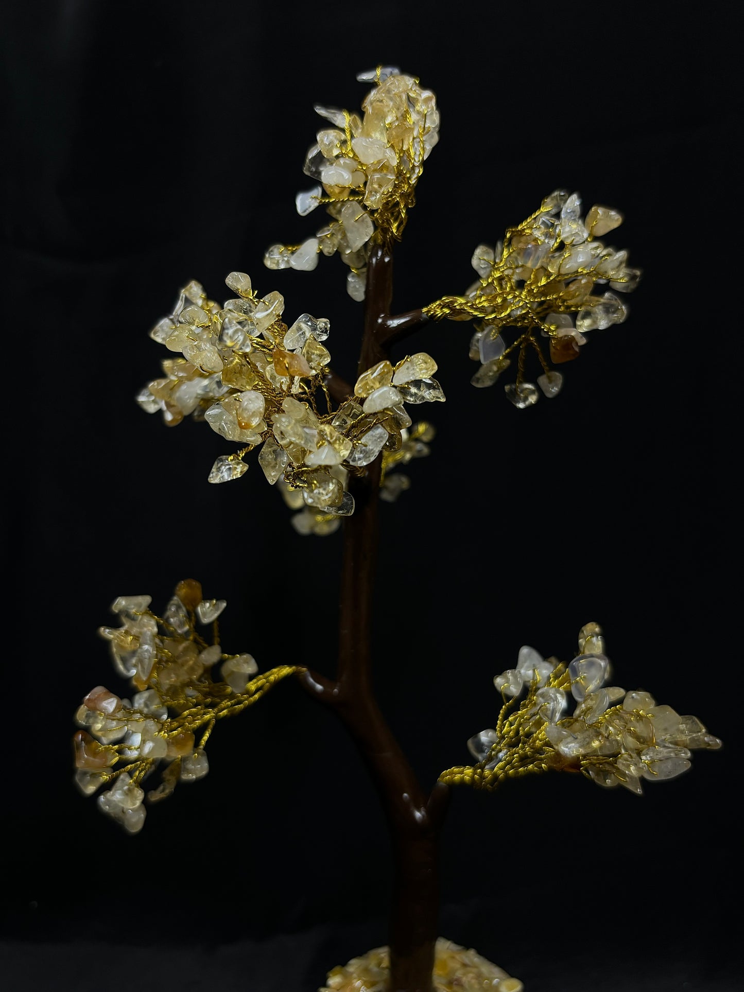 High Financial Status, Success in Job & Profession: Yellow Citrine Tree - Abhimantrit