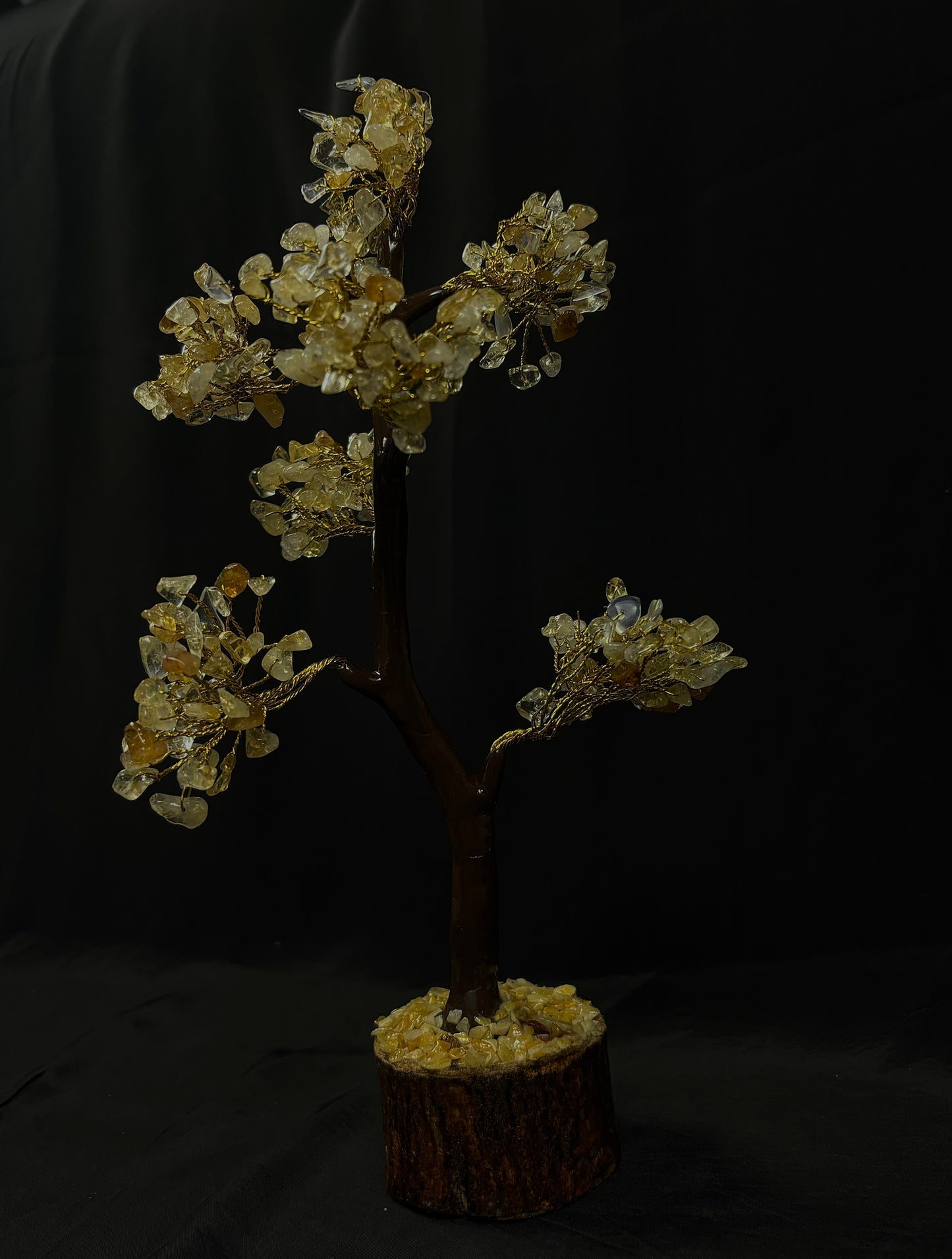 High Financial Status, Success in Job & Profession: Yellow Citrine Tree - Abhimantrit