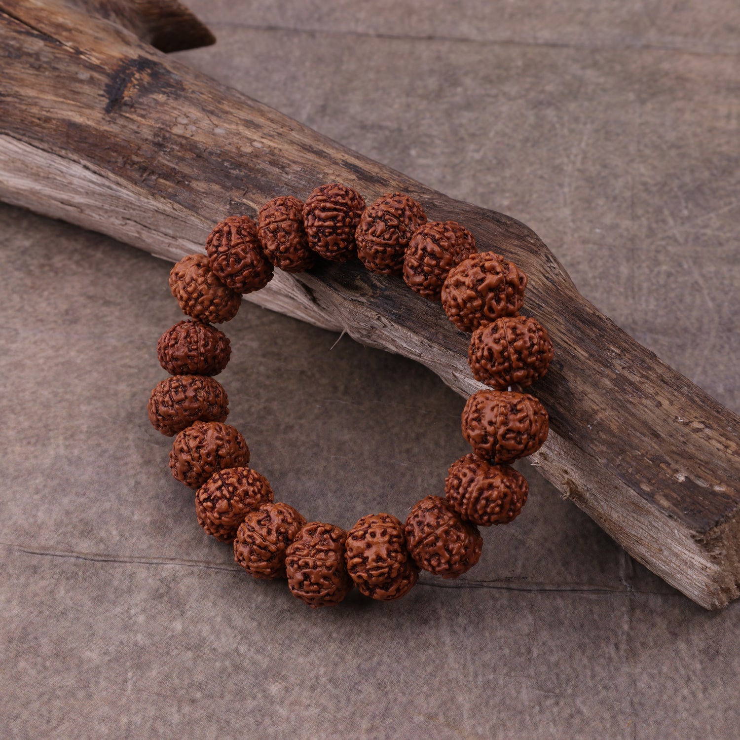 Nepali 7 Mukhi Rudraksha Bracelet for Wealth, Prosperity & Stability