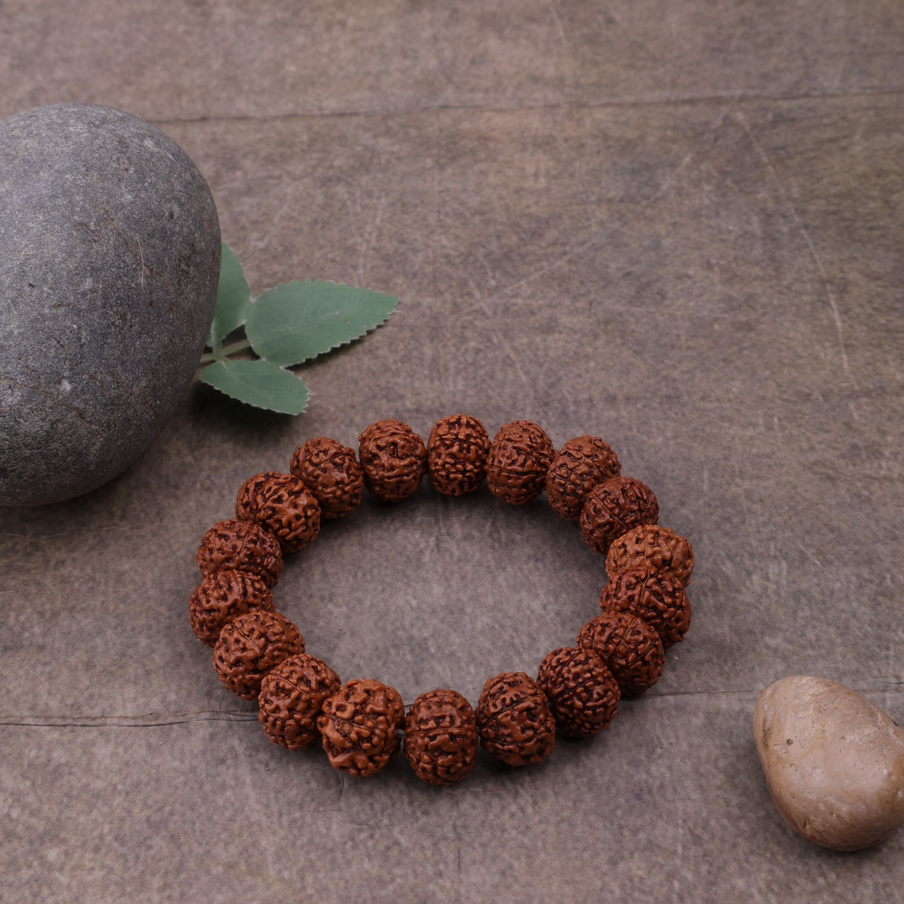 Nepali 7 Mukhi Rudraksha Bracelet for Wealth, Prosperity & Stability