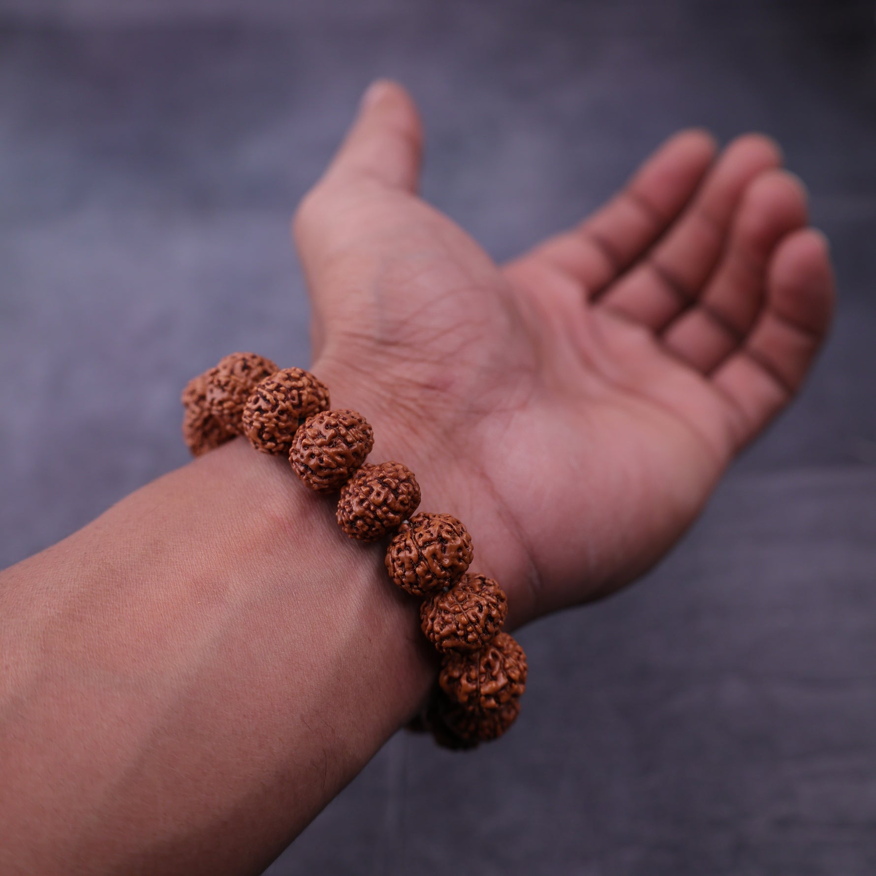 Nepali 7 Mukhi Rudraksha Bracelet for Wealth, Prosperity & Stability